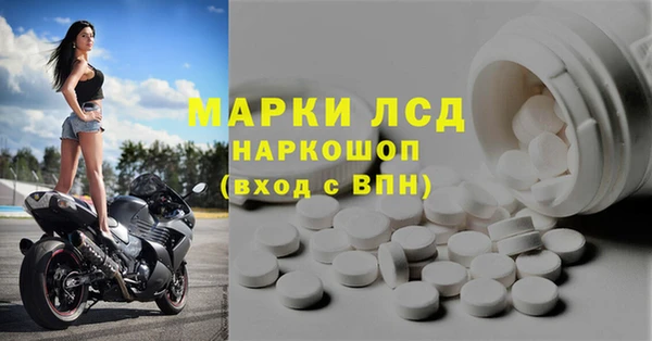 гидропоника Алзамай